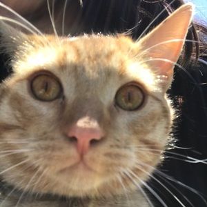 Meet your Posher, Marissa